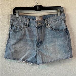 Everlane Blue Denim Shorts